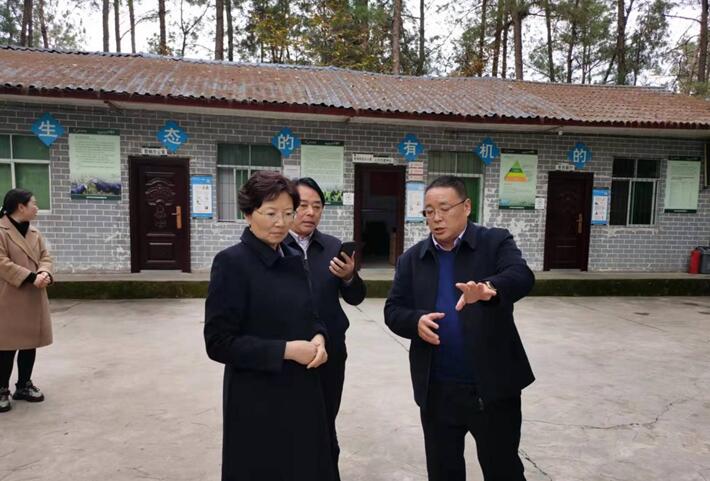 巴中市委常委，市委統(tǒng)戰(zhàn)部部長、市總工會主席溫奇志、通江縣縣委書記孫輝一行來公司調(diào)研