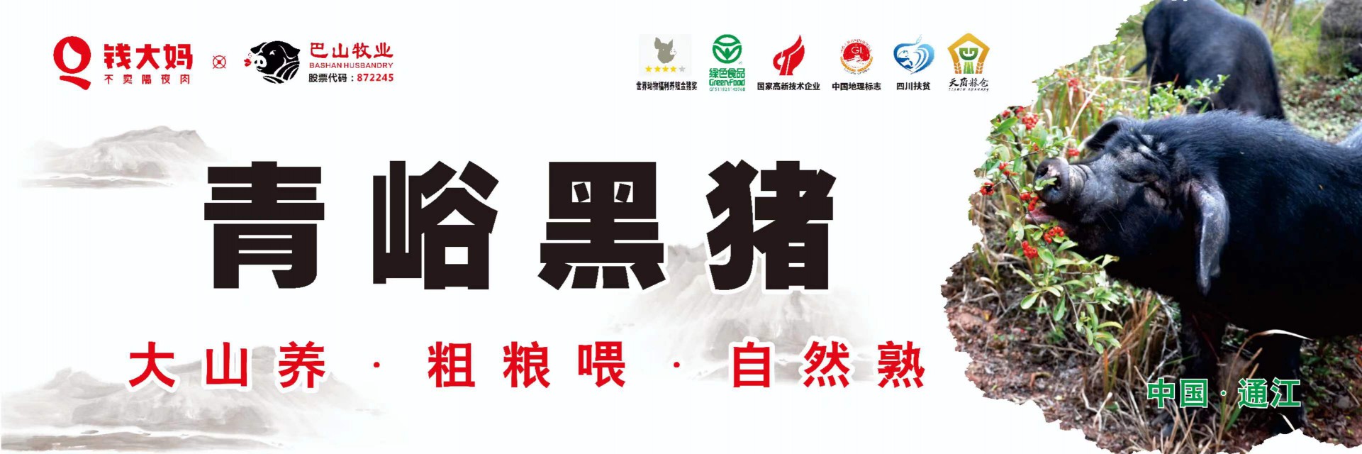 8月19日，青峪黑豬肉 正式在“錢大媽”重慶市場開賣