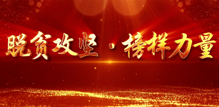 全國(guó)脫貧攻堅(jiān)總結(jié)表彰大會(huì)在北京人民大會(huì)堂隆重舉行