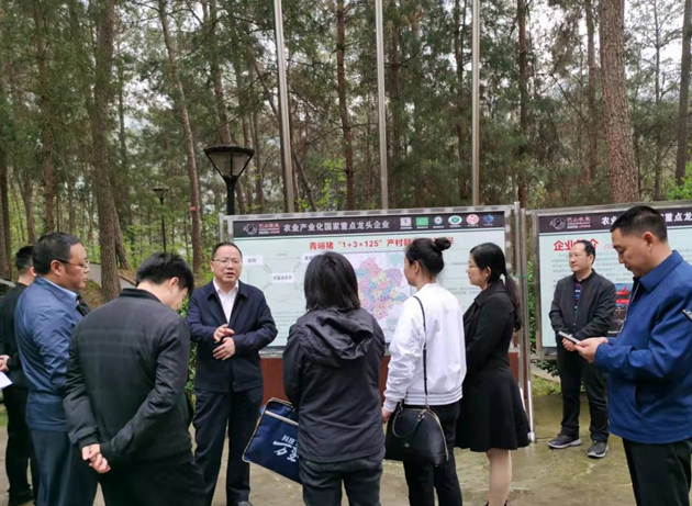 通江縣副縣長(zhǎng)萬學(xué)成一行調(diào)研青峪豬加工生產(chǎn)情況