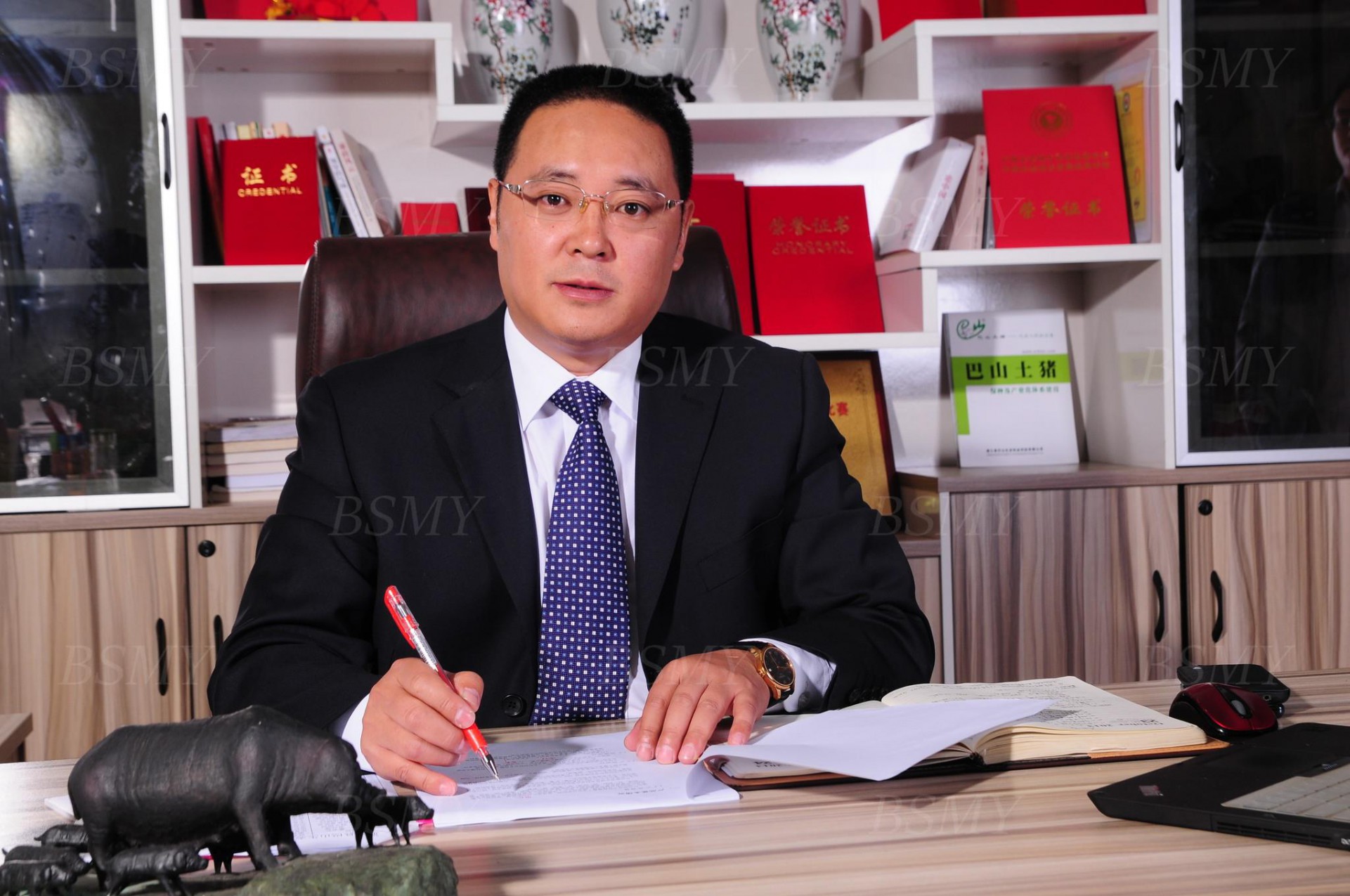 熱烈祝賀巴山牧業(yè)集團(tuán)張育賢董事長榮獲四川省“四川杰出人才獎”